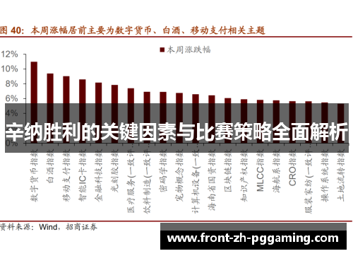 辛纳胜利的关键因素与比赛策略全面解析